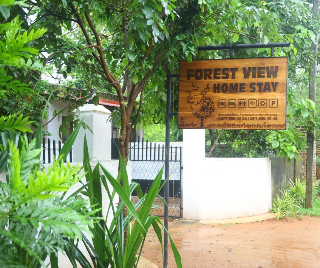 Forest View Home Stay أنرادابورام المظهر الخارجي الصورة